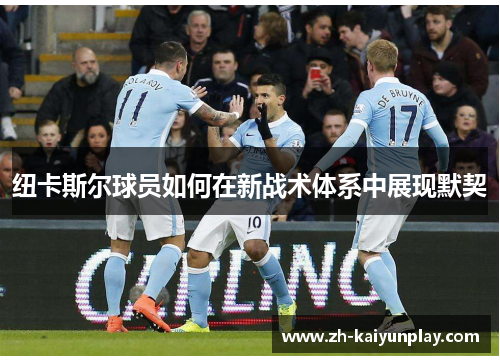 纽卡斯尔球员如何在新战术体系中展现默契 纽卡斯尔球员如何在新战术体系中展现默契